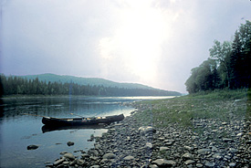 Saint John River Canoe Poling